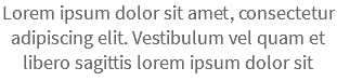 Lorem ipsum dolor sit amet, consectetur adipiscing elit. Vestibulum vel quam et libero sagittis lorem ipsum dolor sit 